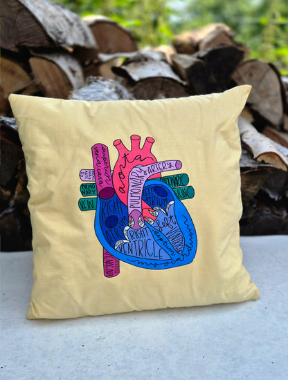 Dekokissen, Herz, Anatomie