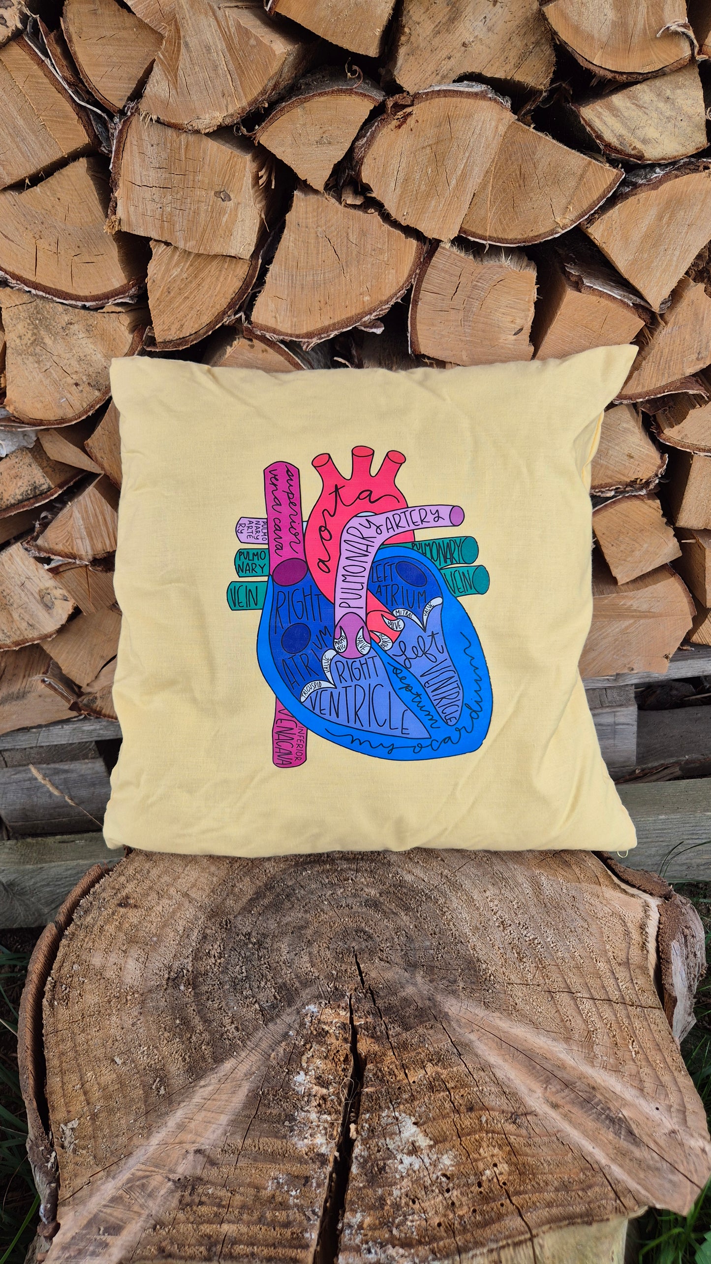 Dekokissen, Herz, Anatomie